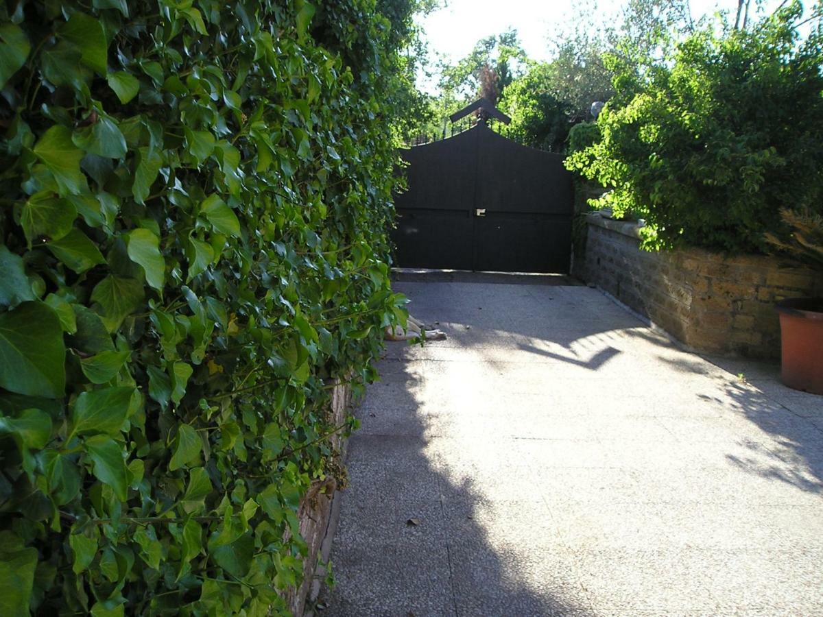 Villa Rosalba Camere Barbarano Romano Экстерьер фото